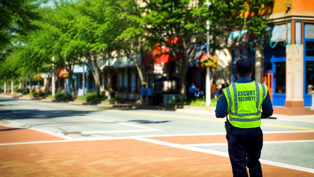 Mobile Patrol & Rapid Response
